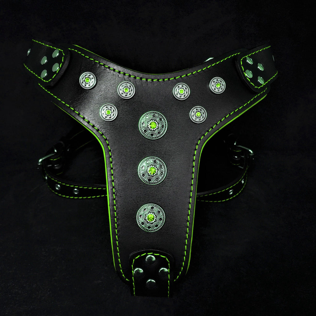 &#39;&#39;Bijou&#39;&#39; harness Black &amp; Green for big dogs
