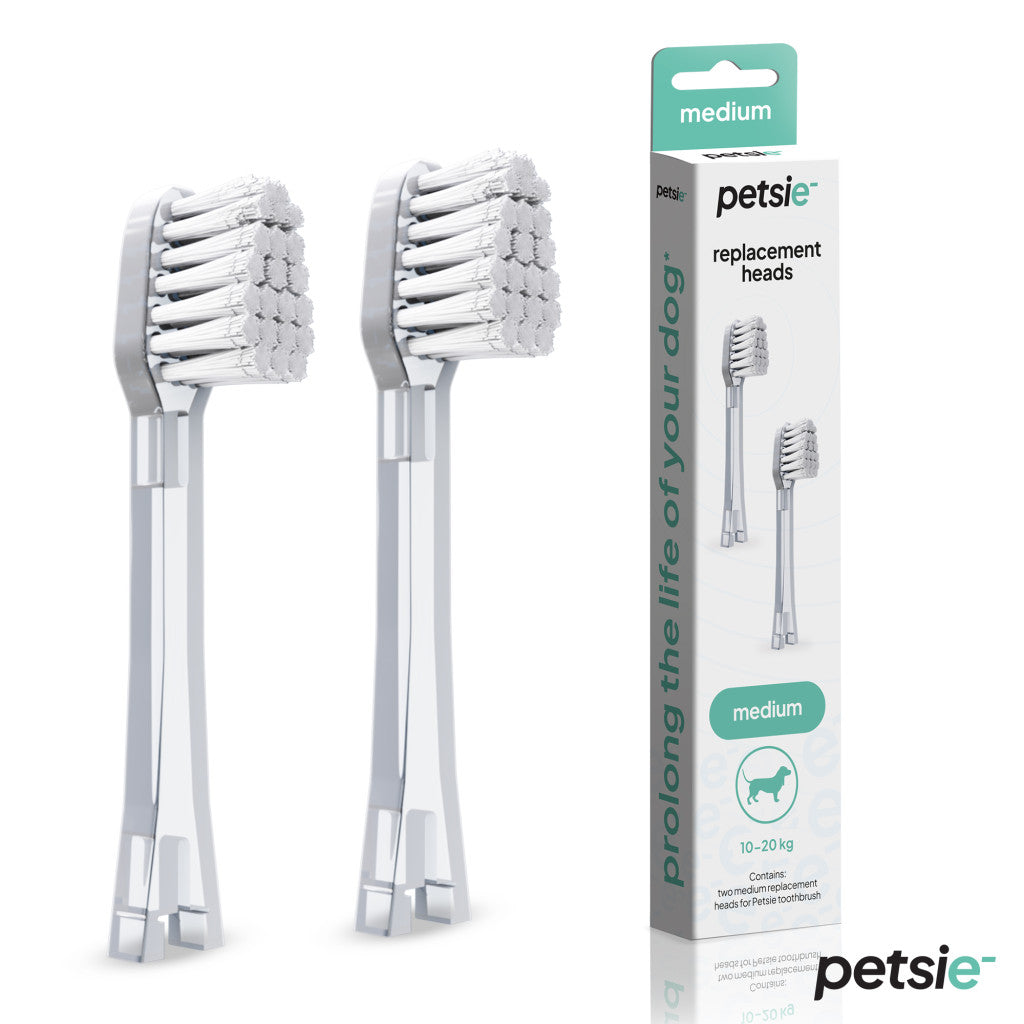 2 replacement heads for Petsie dog toothbrush (size M 10-20kg)